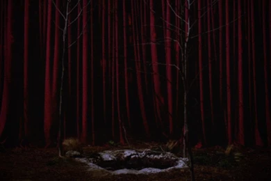 Dark Mood Woods (Full Version)