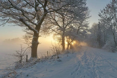 Winter Path HD Wallpaper, Winter Path Images Free