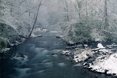 Free HD Desktop Winter Nature Wallpapers