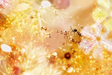 Free Winter Desktop Backgrounds Wallpapers » WallDevil   Best Free ...