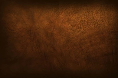 Minimalistic Ubuntu Elephant Textures Wallpapers   (