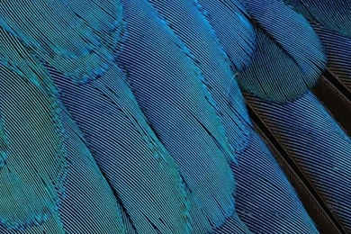 1080x1920 Simple Textures Wallpapers HD