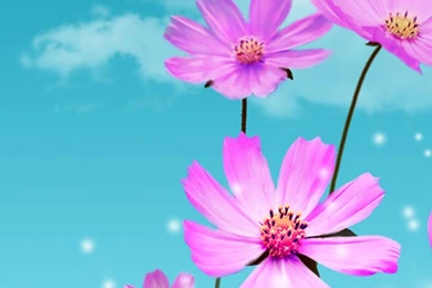 Purple iPhone 6 Wallpapers