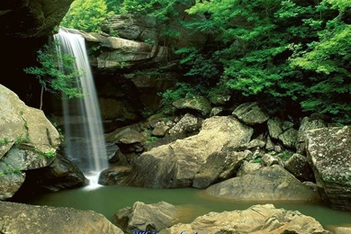 Hd Nature Wallpapers For PC   All Wallpapers New