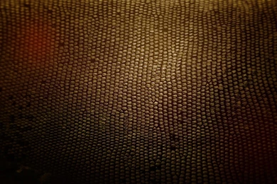 Texture Backgrounds HD 7.jpeg