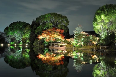 Magic Night Widescreen Wallpapers