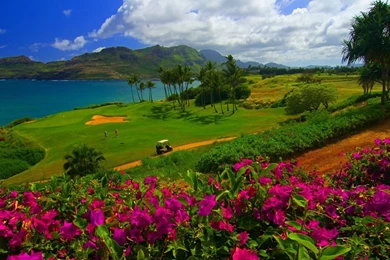 40 Golf HD Wallpapers