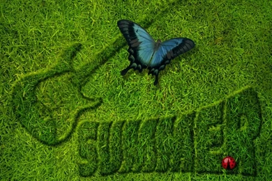 Top Retro Summer Wallpaper Images For Pinterest