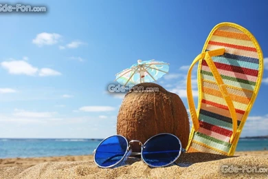 324189_leto_plyazh_kokos_otpusk_1920x1200_www.Gde Fon.com.jpg