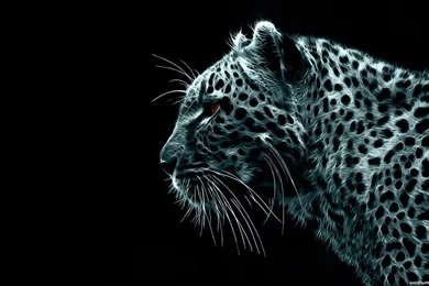 Gallery For Page Hd Wallpapers