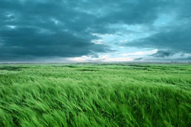 Cloudy Day Ipad Wallpapers To Download