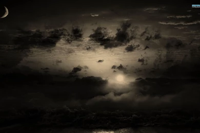 Giraffe With Colored Socks Wallpapers   Funny Wallpapers