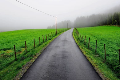 Download Wallpapers 2560x1600 Asphalt, Wet, Road, Grass, Protection ...