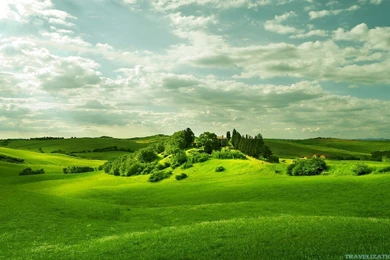 Delightful Scenes Of Field Wallpapers