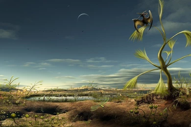 Sailing The Desert Desktop Wallpapers 23131   Desktop Wallpapers ...