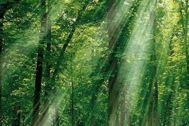 Iphone Iphone4 Beautiful Nature Backgrounds Picture   Free High ...