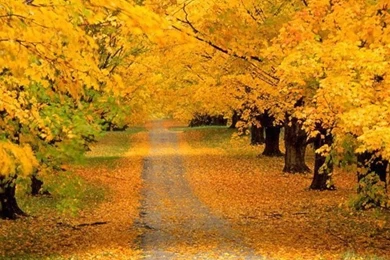 Iphone Iphone4 Beautiful Nature Backgrounds Picture Free High ...