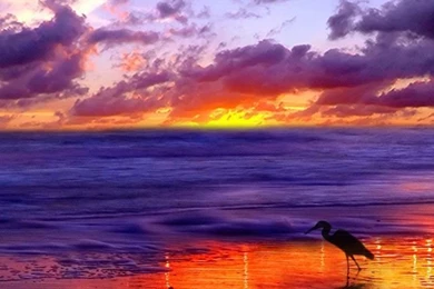 Iphone Iphone4 Beautiful Nature Backgrounds Picture Free High ...