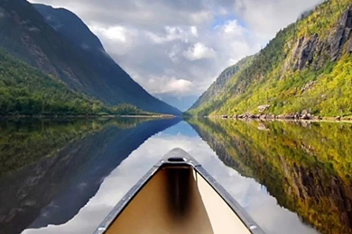 NATURE IPHONE 6 PLUS NANOWALLPAPER