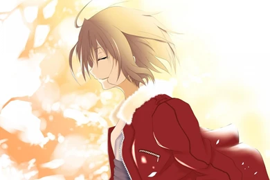 Kara No Kyoukai Ryougi Shiki   (