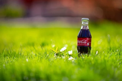 Bottle Of CocaCola In The Green Grass With Flower In Sunshine ...