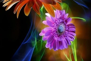 1656 flower effect iphone hd wallpaper_640x960.jpg