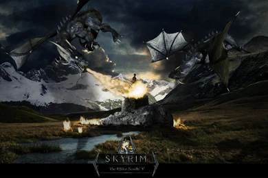 Download Skyrim Dragon Wallpapers Widescreen