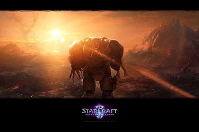 Wallpapers   Media   StarCraft II