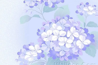 Hydrangea Flowers, Graphic Flowers Backgrounds (1920+1600 ) 12 ...