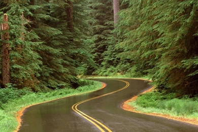 Curved Road HD Wallpapers