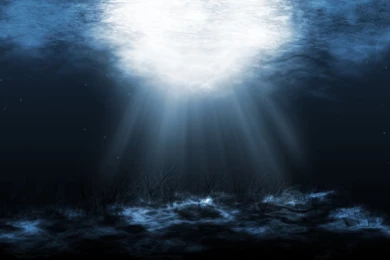 Undersea Hd Wallpapers ›› Page 0