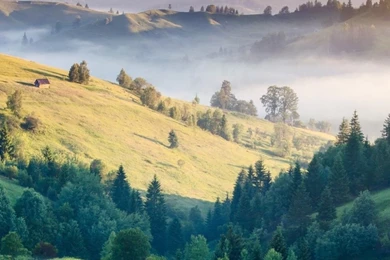 Download HD Green Mountains Grass Field Summer Day Wallpapers ...