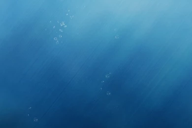 Undersea iPhone 6 Wallpapers