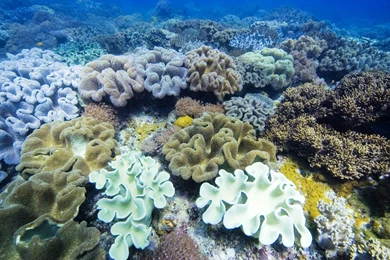 Sea Hd Wallpapers ›› Page 4