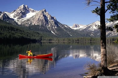 Trout Fishing HD Desktop Wallpapers : Widescreen : High Definition ...