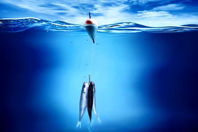 Fishing Wallpapers Desktop Picture
