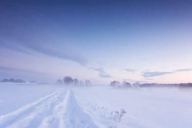 Winter Snow Backgrounds Wallpapers For Desktop, PC & Mobile