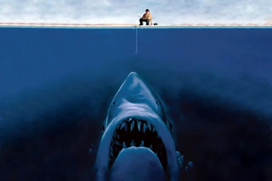 Funny Pictures Wallpapers