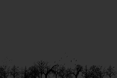 Wallpapers (general) iPad 3,4 & Air Wallpapers