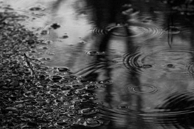 Rainy Day HD Wallpaper, Rainy Day Backgrounds