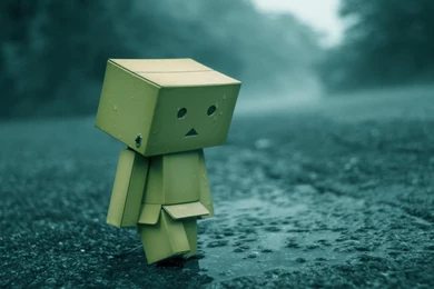 Sad Danbo Rain Wallpapers