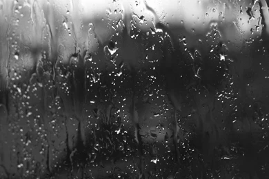 Rainy Window Wallpapers   Photography Wallpapers