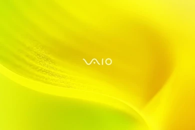 Vaio Wallpapers   Computer Wallpapers