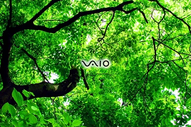 Sony vaio wallpaper 46.jpg