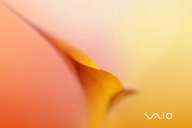 Sony Vaio Wallpapers