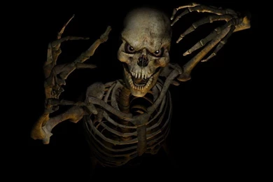 Scary Vampire Skull Wallpapers « Imgshout.com