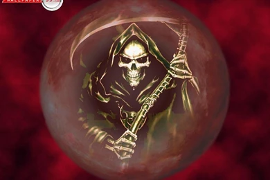 Scary Skull Wallpapers Picture Image 1024x768 18212