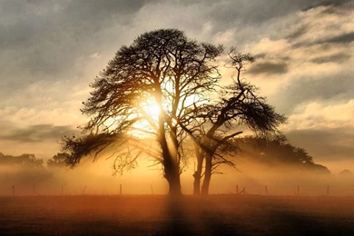 Dual Screen Wallpapers