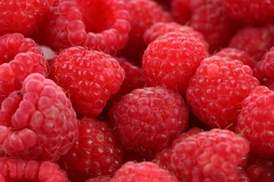 Raspberry Computer Wallpapers, Desktop Backgrounds