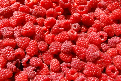 Top Raspberry Hd Wallpaper Images For Pinterest